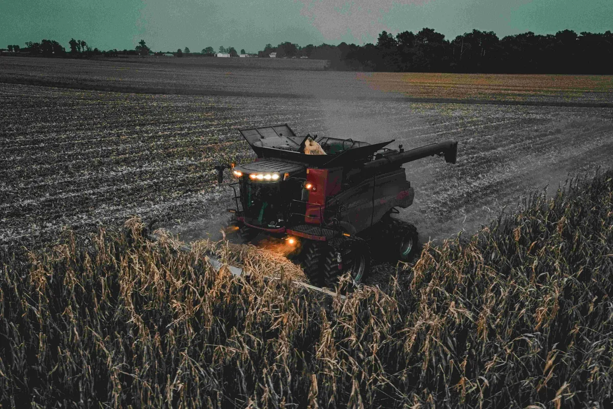 A combine harvester at work in a field at dusk